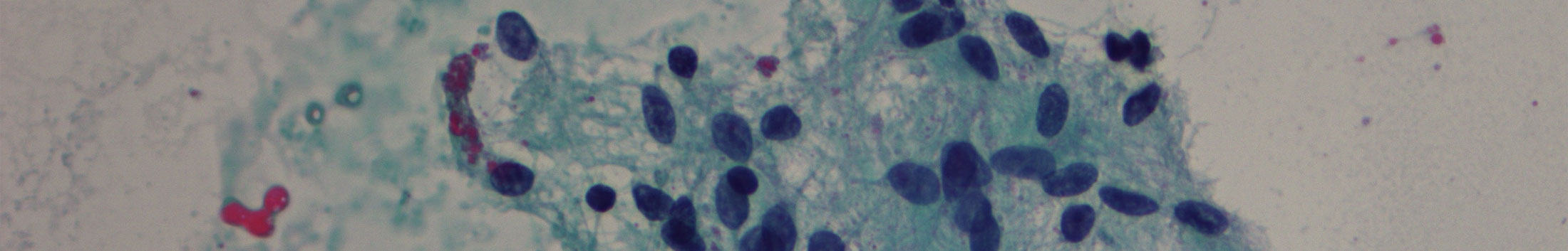 Pathologie Institut Spital Thurgau